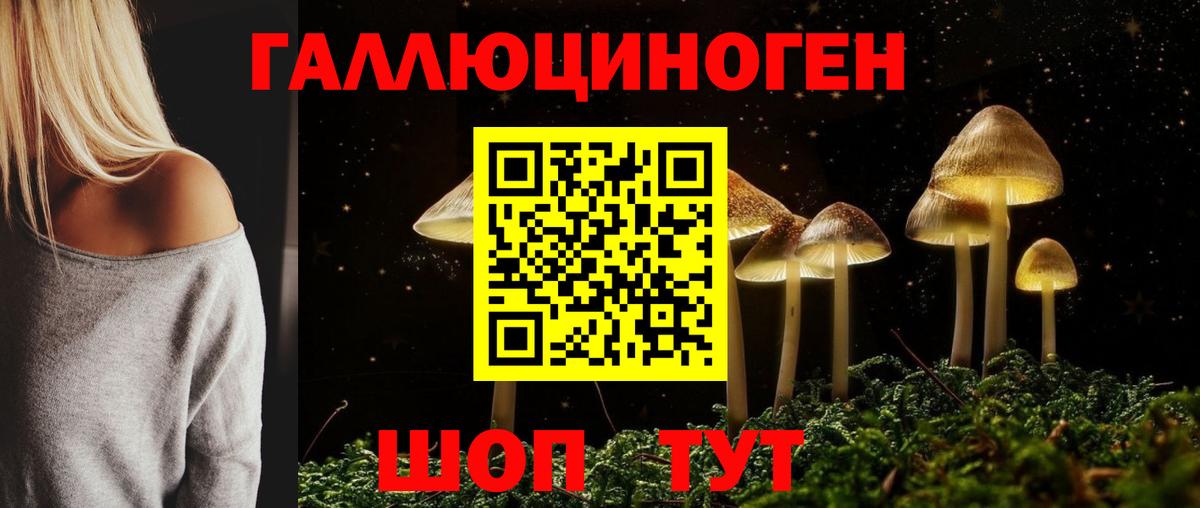 наркотики  Вход с VPN  Кимовск  Галлюциногенные грибы мицелий 